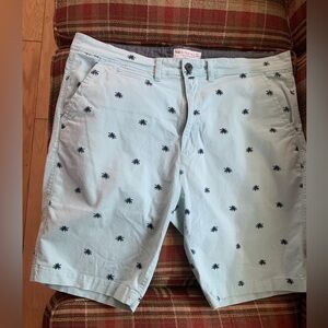 Men’s Free Planet Blue Palm Tree Shorts